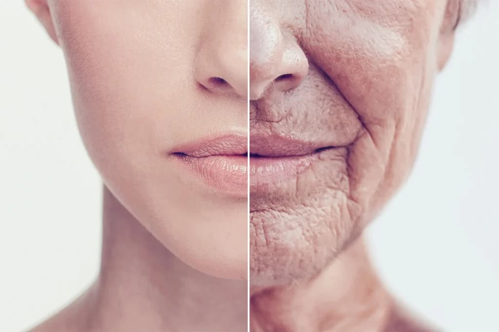 Type 2 Diabetes Drug Ozempic Could Delay Ageing, Researchers Believe